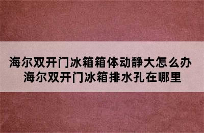 海尔双开门冰箱箱体动静大怎么办 海尔双开门冰箱排水孔在哪里